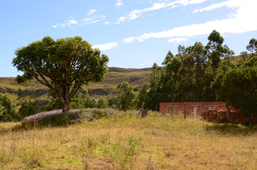 2015-05 South Africa/Drakensburg/DSC_0108.JPG